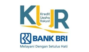 Syarat, Bunga, dan Cara Mengajukan KUR BRI 2024