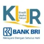 Syarat, Bunga, dan Cara Mengajukan KUR BRI 2024