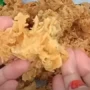 Intip Resep Ayam Krispi Empuk dan Kriuk, Wajib Dicoba!