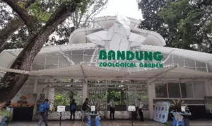 Jadwal Liburan! Jam Buka dan Harga Tiket Terupdate Kebun Binatang Bandung