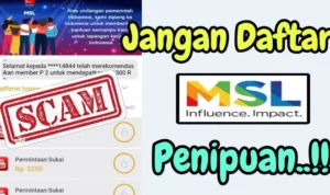 Ciri-Ciri Apakah Aplikasi MSL ini Skema Ponzi?