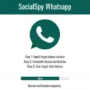 Cara Pakai dan Risiko Penggunaan Social Spy Whatsapp untuk Sadap Akun Orang