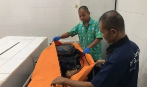 Teka-teki Dibalik Temuan Mayat di Sukabumi Mulai Terpecahkan, Polisi Ungkap Fakta Lain Kerangka manusia yang hanya menyisakan tukang belulang. Riki/Jabar Ekspres.