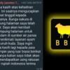 Aplikasi BBH Scam, Pihak Official Mengakui!