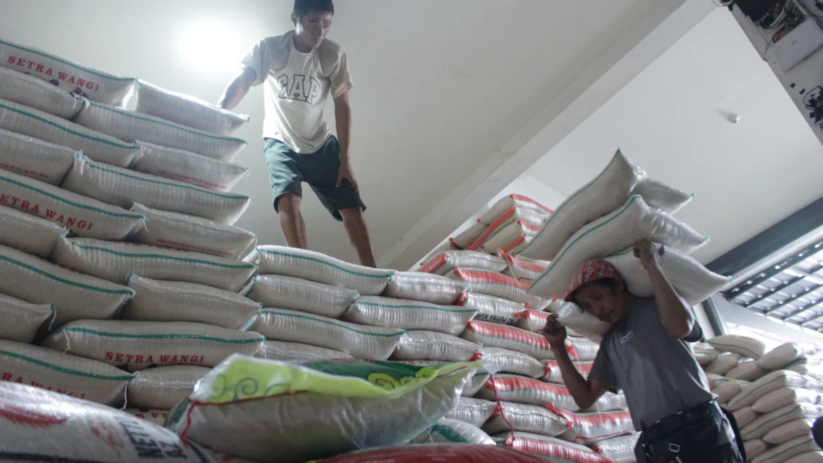Ada Kenaikan Harga Beras, Pemkot Minta Warga Bandung Jangan Panik Pekerja memikul beberapa karung beras di salah satu Distributor beras di kawasan Cibiru, Kota Bandung. (Pandu Muslim/Jabar Ekspres)