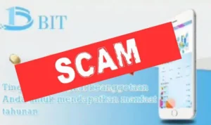 Aplikasi BIT dinyatakan scam pada hari ini, Selasa 6 Februari 2024.