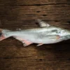 7 Khasiat Ikan Patin, dapat Membantu Kesehatan Jantung!