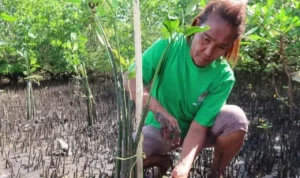 KLHK Gencarkan Penanaman Pohon Selama Musim Hujan
