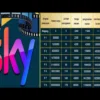 Mengupas Cara Kerja Aplikasi Investasi Sky, Mirip dengan Media Simonida
