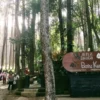 Batu Kuda/Foto: Dok. Jabar Ekspres/