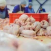 Harga Pangan Hari Ini 15 Februari 2024: Daging dan Cabai Naik!