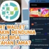 Ini Dia Alasan Smart Wallet Masih Beroperasi Padahal Terbukti Scam