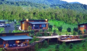 Rekomendasi Tempat Staycation Nuansa Swiss di Pangalengan
