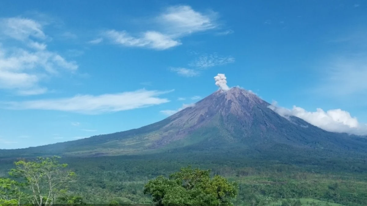 Gunung Semeru Erupsi pada Selasa (27/2/2024)/ Dok. PVBMG