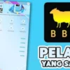 Skema Investasi Aplikasi BBH yang Menjanjikan Keuntungan Besar
