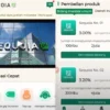 Mengungkap Skema Investasi Bodong Aplikasi Sequoia