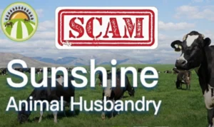 Waspada! Aplikasi Sunansin Animal Husbandry dan Investasi Bodong Lainnya Waspada! Aplikasi Sunansin Animal Husbandry dan Investasi Bodong Lainnya