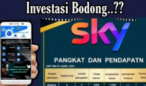 Mengungkap Aplikasi Sky Investasi Bodong Mirip VCCP, dan BBH