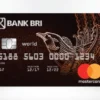 Begini Cara Pakai Keistimewaan Kredit BRI World Access untuk ke Luar Negeri