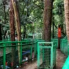 Masyarakat nampak beraktivitas di Hutan Kota Babakan Siliwangi Bandung, Rabu (21/02)