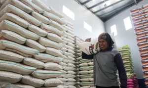 Inflasi Y-O-Y Jabar Januari 2024 Tembus 3,02 Persen, Tertinggi di Jawa ekerja mengangkut beras di distributor beras kawasan Cibiru, Kota Bandung. (Pandu Muslim/Jabar Ekspres)