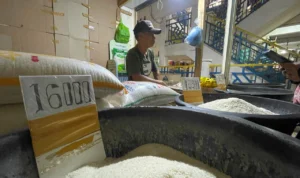 Pemda Bandung Barat Sudah Gelontorkan Beras Murah 100 Ton, Harga Beras Tetap Melambung Ujang Daryana (63), pedagang beras di pasar tradisional Tagog Padalarang, Kabupaten Bandung Barat. Kamis (1/2). Foto wit/Jabarekspres