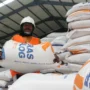 Pekerja memikul beberapa karung beras di Gudang Bulog, Gedebage, Kota Bandung. (Pandu Muslim/Jabar Ekspres)