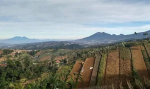 Maraknya alih fungsi lahan di Kawasan Bandung Utara (KBU), jadi penyebab banjir di Bandung Raya. Kamis (1/2). Foto istimewa
