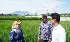 Sekda Kota Bogor, Syarifah Sofiah bersama Camat Bogor Timur Feby Darmawan dan perwakilan investor meninjau lahan hibah DJKN Kemenkeu di kawasan Jalan R3, Kelurahan Katulampa, Jumat (2/2).
