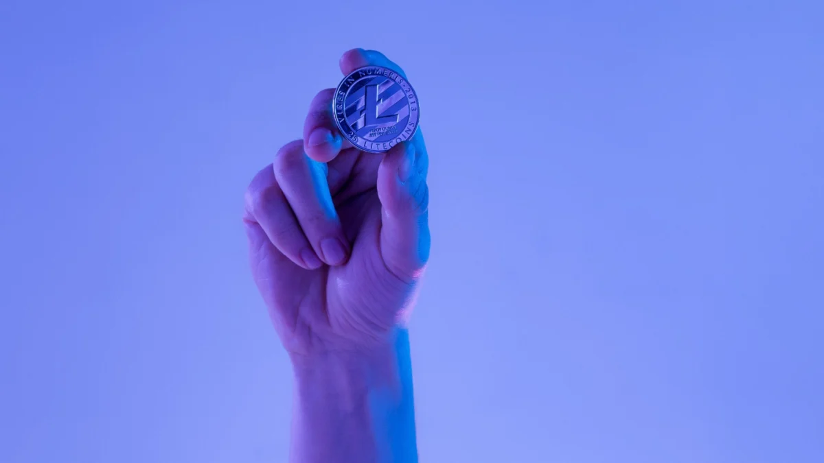 Keuntungan dan Risiko Mata Uang Kripto Litecoin (LTC), Ketahui di Sini! (ilustrasi: Freepik)