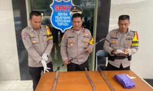 Kapolsek Cireunghas Ipda Hendrayana (tengah) saat memegang barang bukti tawuran antar pelajar. Riki/Jabar Ekspres.