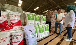 Dukung Petani, Pemerintah Alokasikan Tambahan Subsidi Pupuk Sebesar Rp14 Triliun Pemerintah Alokasikan Tambahan Subsidi Pupuk Sebesar Rp 14 Triliun untuk Mendukung Petani. Foto Agi Jabar Ekspres