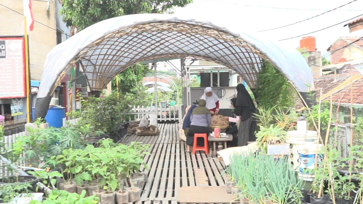 Program BRInita Sukses Jadikan Kelurahan Padjajaran Bandung Jadi Percontohan Urban Farming Program BRInita Sukses Jadikan Kelurahan Padjajaran Bandung Jadi Percontohan Urban Farming