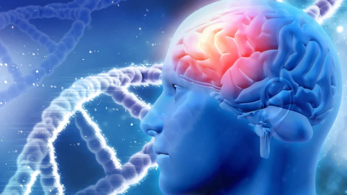 Peran Dopamin dalam Pembelajaran dan Adaptasi Otak