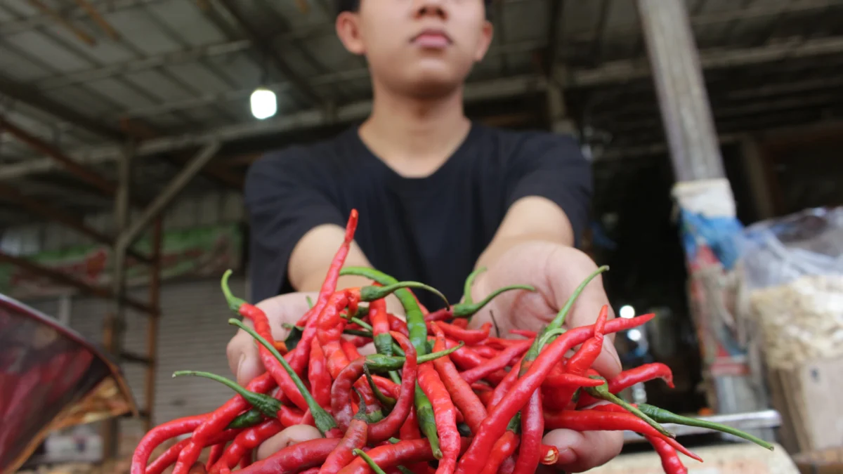 Penjual cabe merah di Pasar Induk Gedebage, Kota Bandung. (Pandu Muslim/Jabar Ekspres)