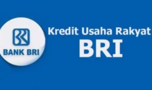 Cara Pengajuan Pinjaman KUR BRI 2024 Agar Cepat Cair dan Cicilan Rendah
