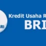 Cara Pengajuan Pinjaman KUR BRI 2024 Agar Cepat Cair dan Cicilan Rendah Cara Pengajuan Pinjaman KUR BRI 2024 Agar Cepat Cair dan Cicilan Rendah