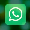 Kenapa WhatsApp Kamu Belum Bisa Tambahkan Musik di Status? Ini 3 Penyebab dan Solusinya!