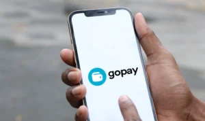 GoPay dan Bank Jago Hadirkan Fitur Baru Rekening Simpanan, ini Tujuan dan Manfaatnya