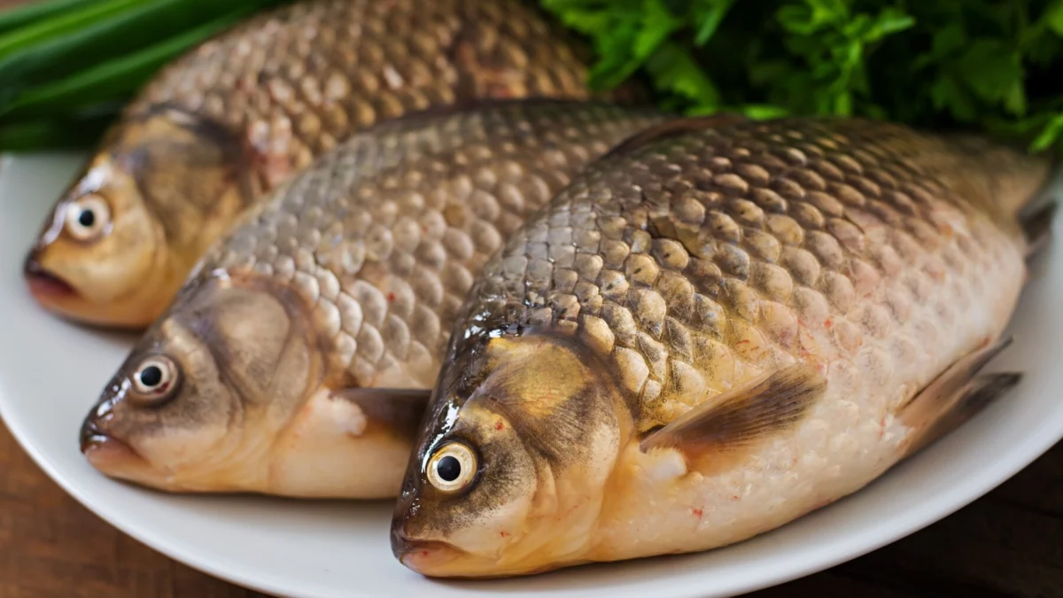 7 Manfaat Ikan Nila untuk Kesehatan, Bisa Melindungi Jantung