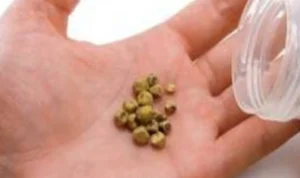 5 Minuman Pemecah Batu Ginjal Aman Dikonsumsi Berbahan Alami