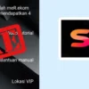 Fakta Terbaru Alasan Aplikasi Sky Masih Beroprasi Padalah Terbukti Scam