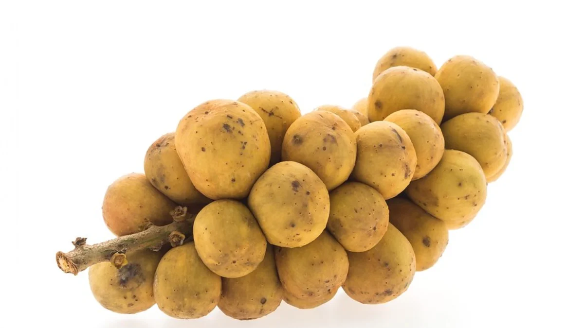 8 Manfaat Buah Duku dapat Menjaga Kesehatan Kulit!