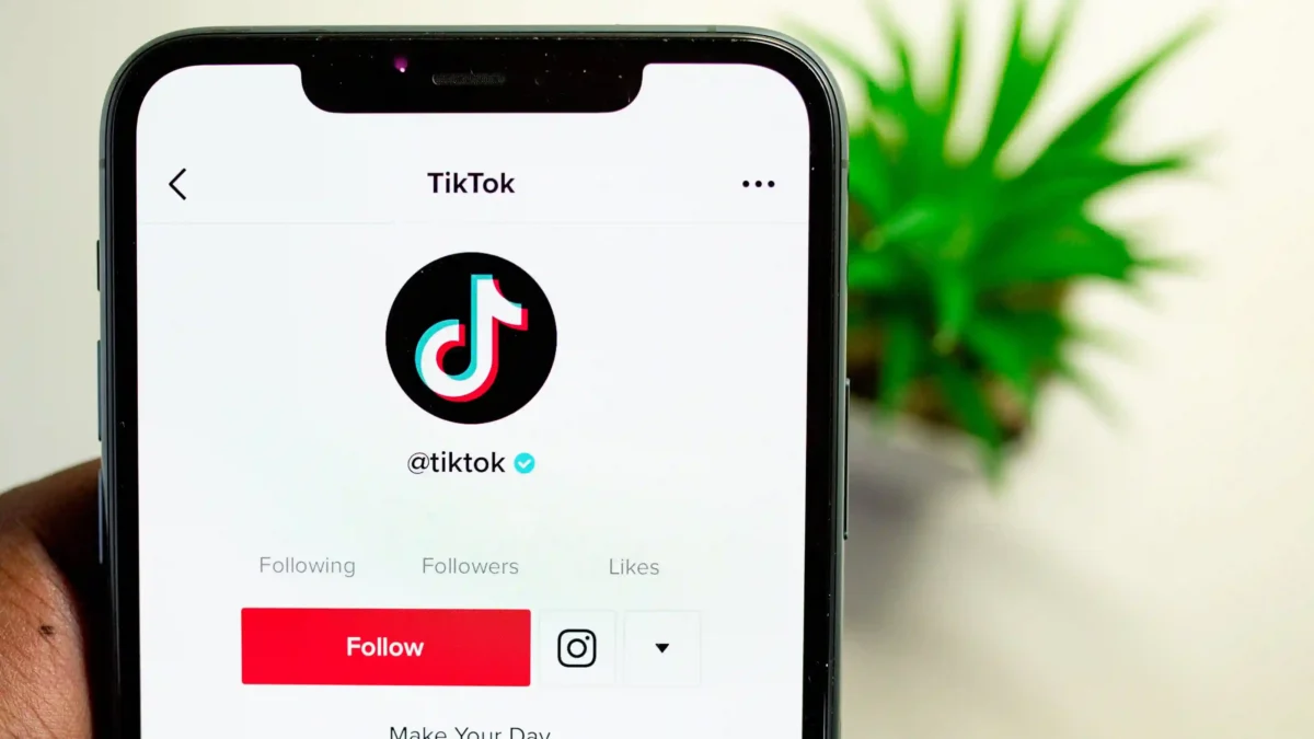 Penghasilan Rp3 Juta Per Minggu dari TikTok Meski Followers 200-an, Simak Begini Caranya!