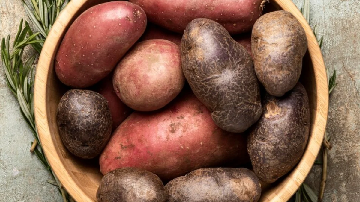 Manfaat Kentang Hitam dengan Beragam Khasiat! Manfaat Kentang Hitam dengan Beragam Khasiat!