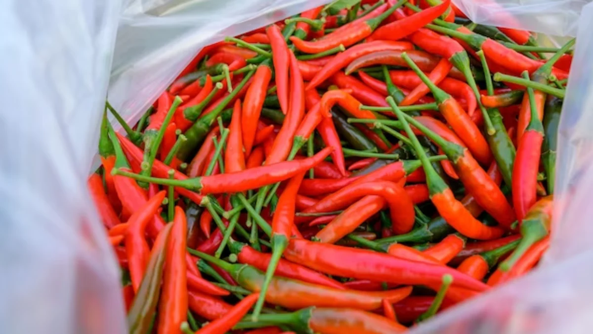Sejumlah Harga Bahan Pokok Melambung Tinggi Jelang Puasa, Termasuk Beras dan Cabai