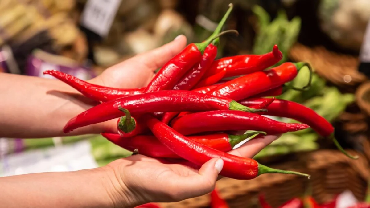 Harga Pangan Hari Ini Senin, 19 Februari 2024: Cabai, Daging, dan Telur Naik!