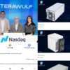 Review Aplikasi Terawulf Apakah Layak Digunakan Sebagai Penghasil Uang? Cek Faktanya