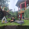 Pengunjung saat melihat salah satu panda yang ada di Taman Safari Bogor.