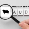 Begini Skema Modus Penipuan BBH dan Smart Wallet yang Bikin Ditutup Sama OJK